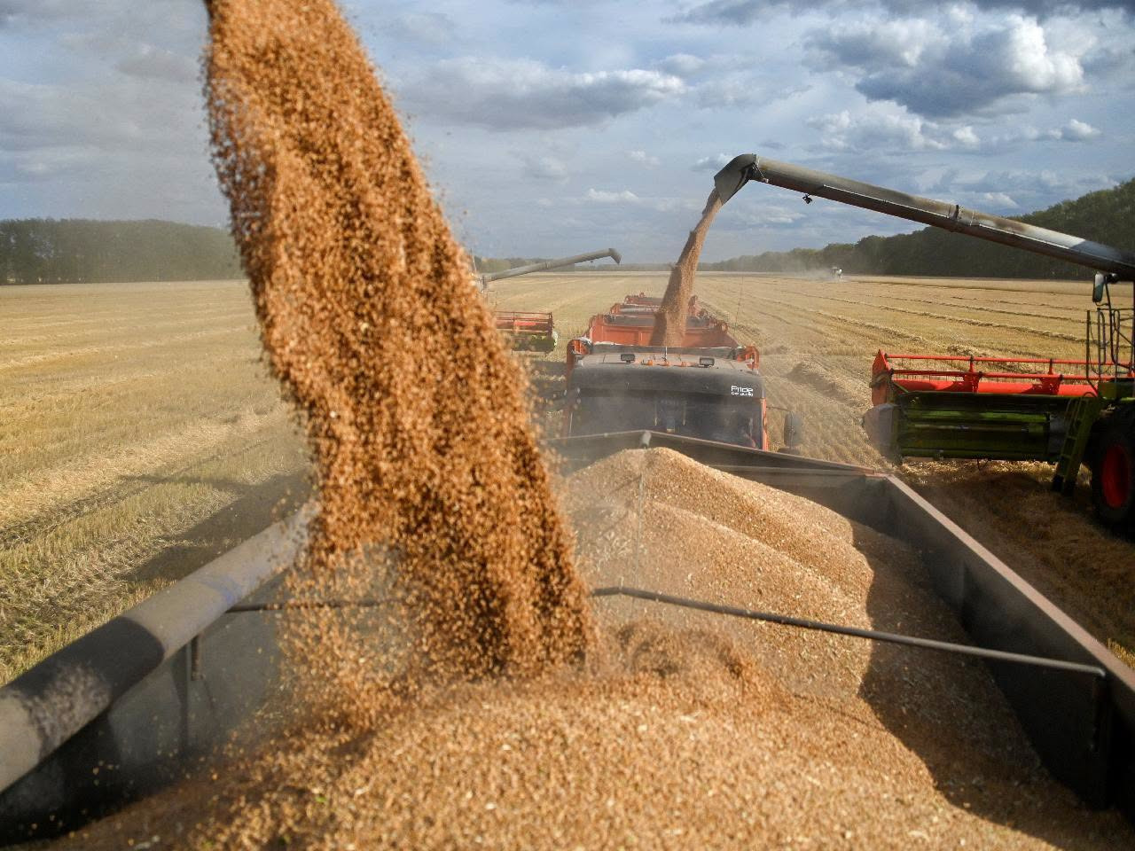 580,000 hectares cultivated